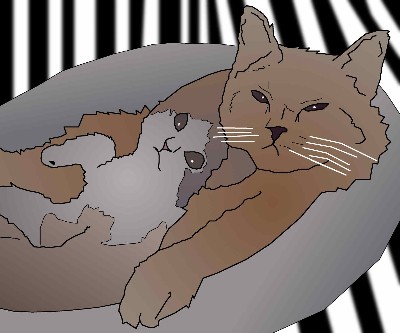 Cats Chilling